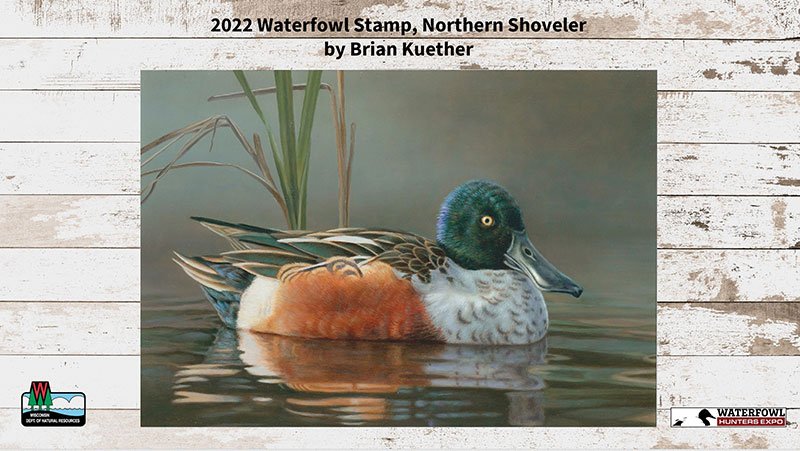 Waterfowl Stamp Winner